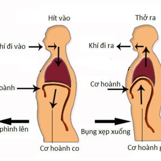 <a href="/dao-tao-cdt" title="ĐÀO TẠO &amp; CĐT" rel="dofollow">THÔNG TIN ĐƠN VỊ</a>